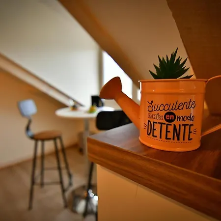 Résidence Les Berges Du Cher Appartement *