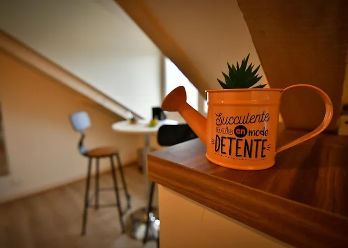 Les Berges Du Cher Апартаменты *